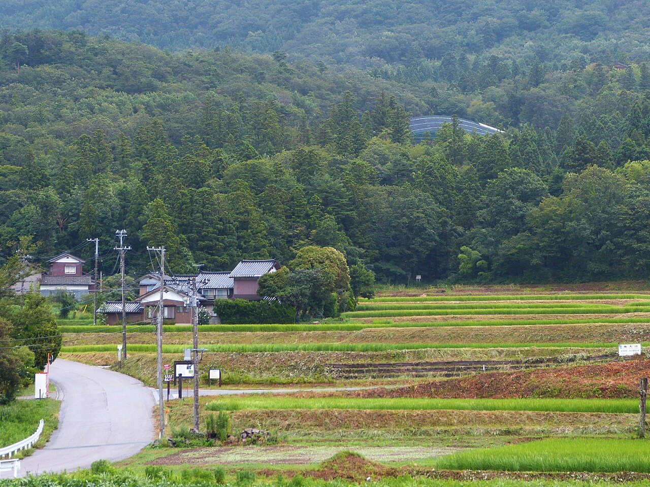 田畑と山林の奥に見える佐渡のトキ野生復帰ステーション